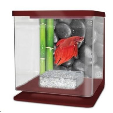 CATGATO Betarium Betta kit stones 2l CATGATO Betarium Betta kit stones 2l