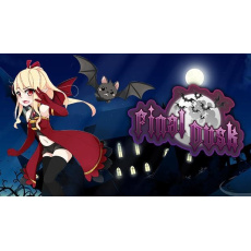 Final Dusk (PC) klíč Steam