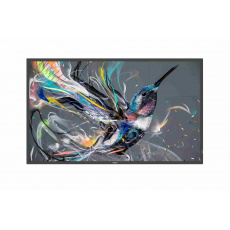 Philips LED display 50" 50BDL3550Q/00 Philips LED display 50" 50BDL3550Q/00