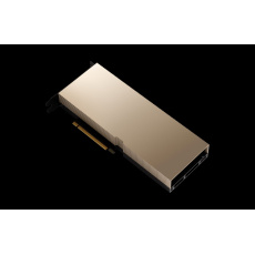 NVIDIA A100 80GB PCIe NonCEC Accelerator NVIDIA A100 80GB PCIe NonCEC Accelerator