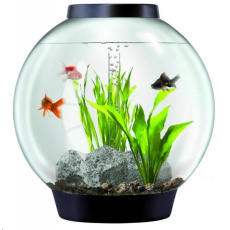 Akvarium BIORB cerne 30l
