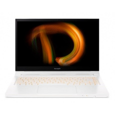 ACER NTB ConceptD 3 CC314-72G-72ZT W10PR64CCZ2 N18PG614GBCSFwwLt_4V6UT 71075/1*16G/F1000GS/57Wh/R/14FRIB3TAES_AX201_FP_H ACER NTB ConceptD 3 CC314-72G-72ZT W10PR64CCZ2 N18PG614GBCSFwwLt_4V6UT 71075/1*16G/F1000GS/57Wh/R/14FRIB3TAES_AX201_FP_H