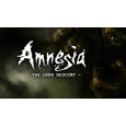 Amnesia: The Dark Descent (PC) klíč Steam